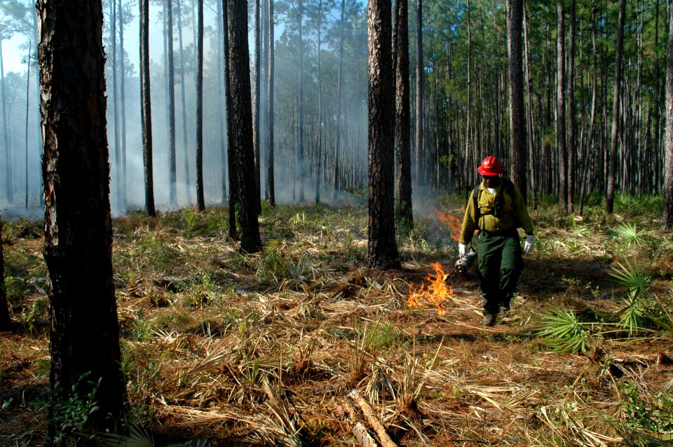 20111106-FS-Osceola-SB-008