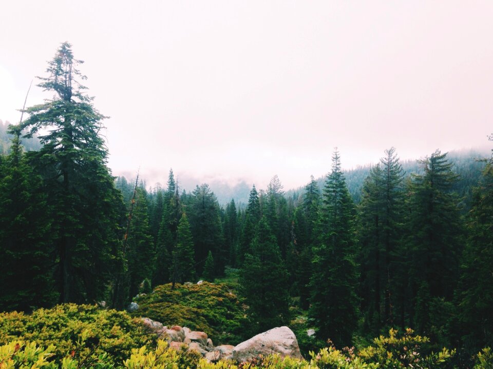 Green landscape environment