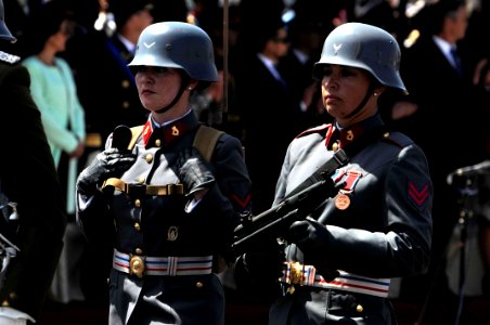 Gran contingente del Ejército rindió honores en la Parada Militar