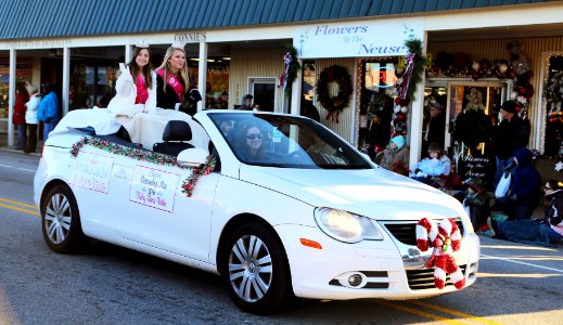 88- Outstanding Little Miss Dunn Regan Veller & Clayton's Outstanding Miss Kelsey Veller