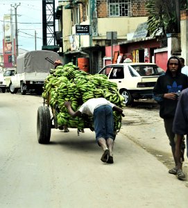 Madagascar, return to Antanarivo. photo