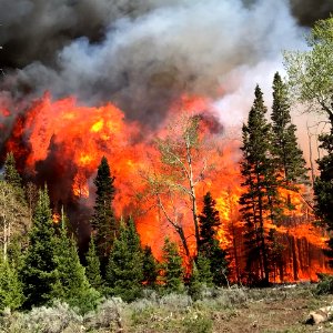 Prescribed burn at Manning Creek
