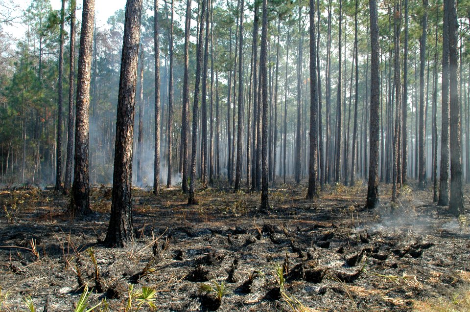 20111106-FS-Osceola-SB-038
