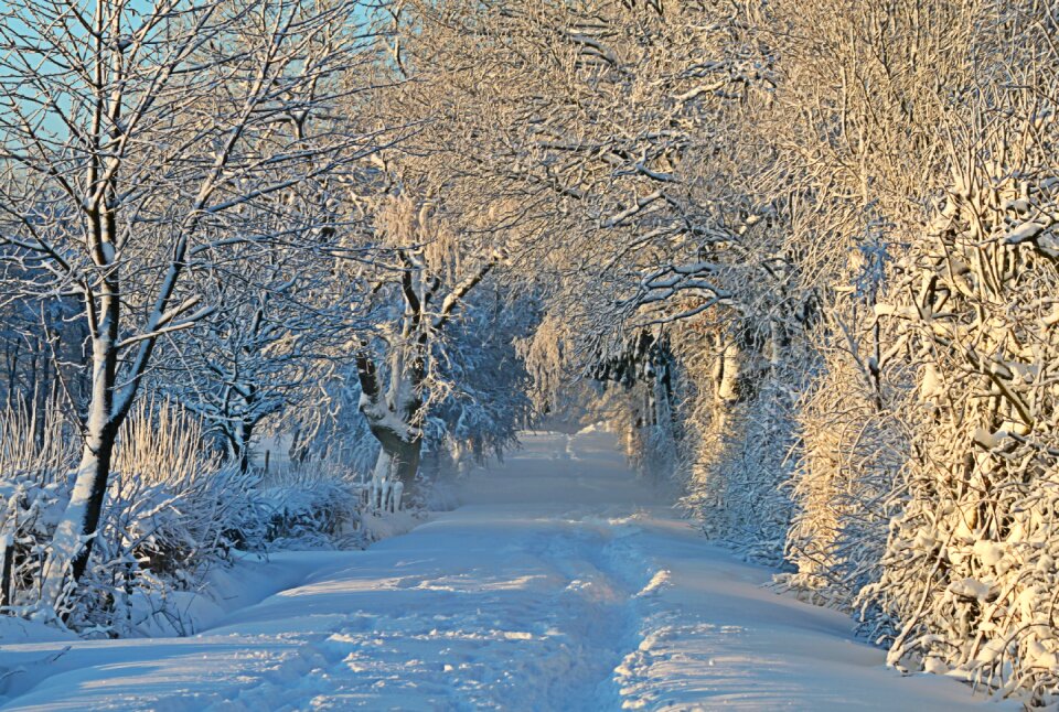 Snow landscape snowy snow lane