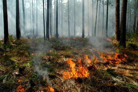 20111106-FS-Osceola-SB-009