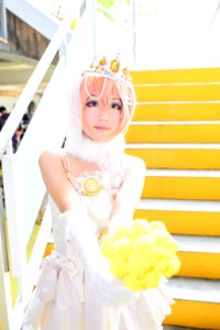 DSC 7529