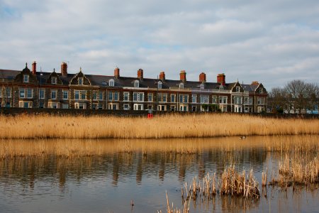 DSC 1407