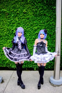 DSC 7428