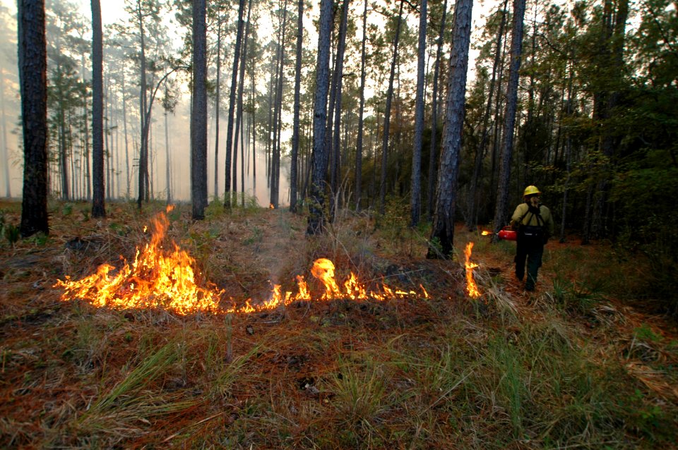 20111106-FS-Osceola-SB-024