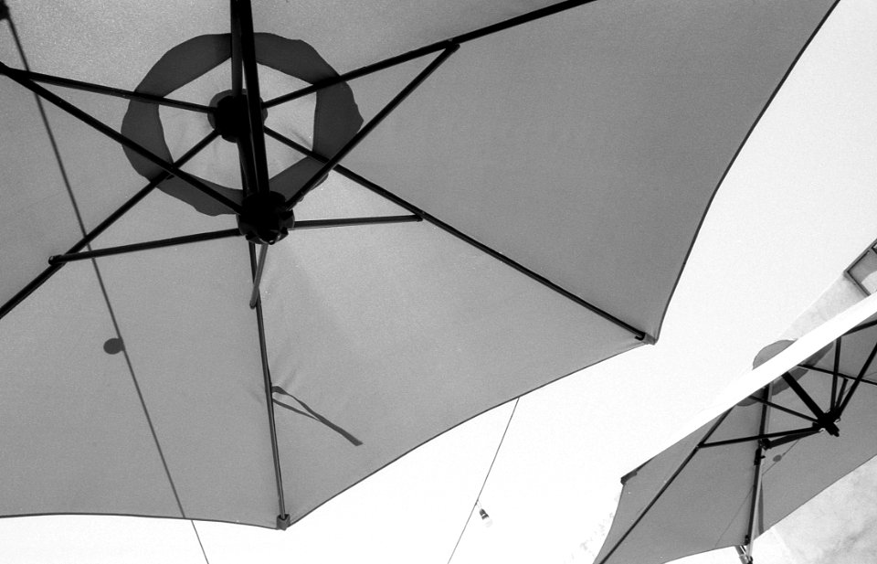KodakTMX100+1-marzo 014