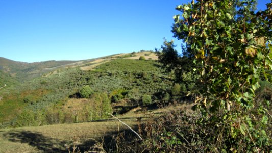 Chemin de compostelle