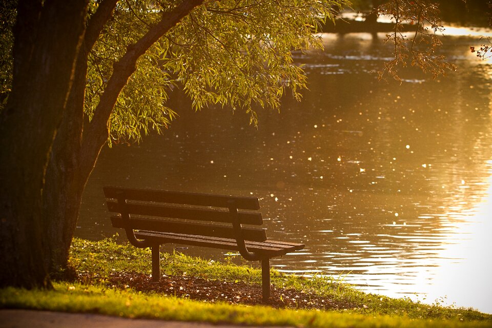 Lake water lakeside photo