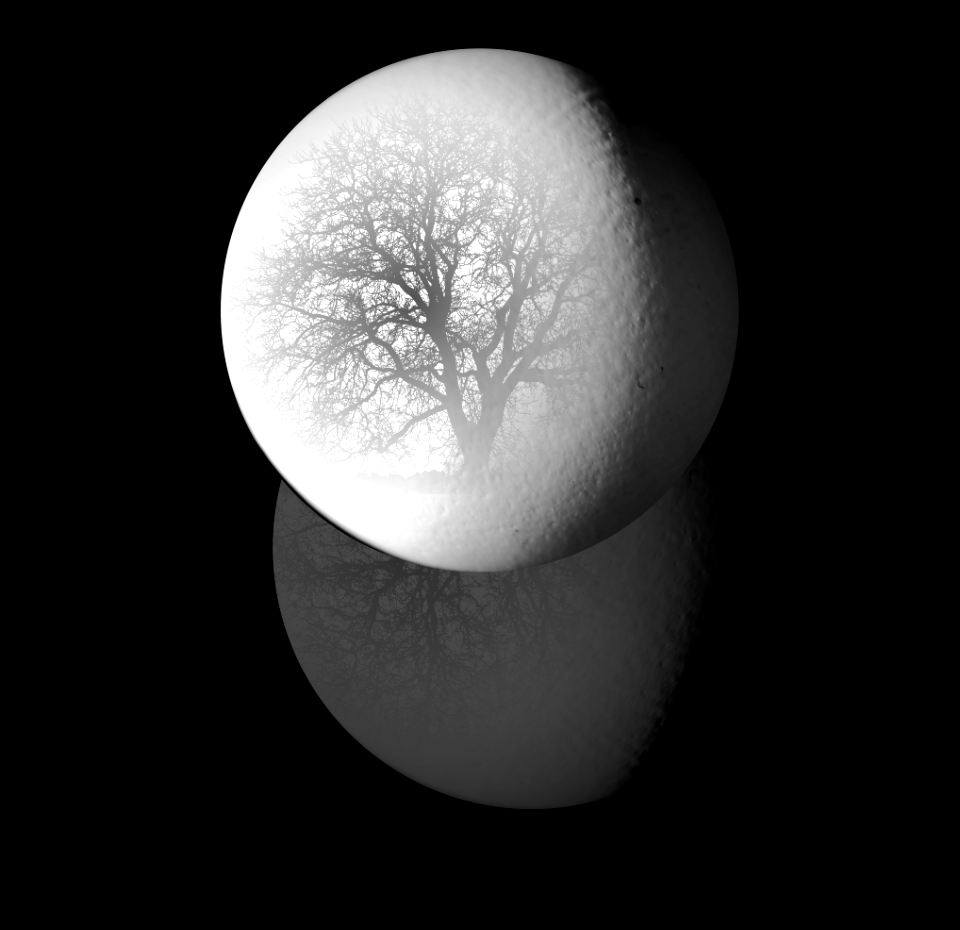 The tree in the breakfast egg, slightly changed