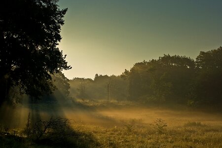 Morning scene fog photo