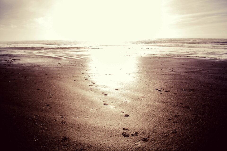 Beach sand Free photos