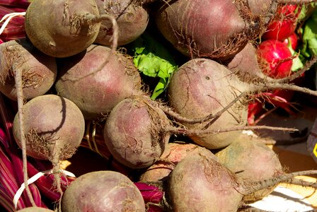 Beets roots market