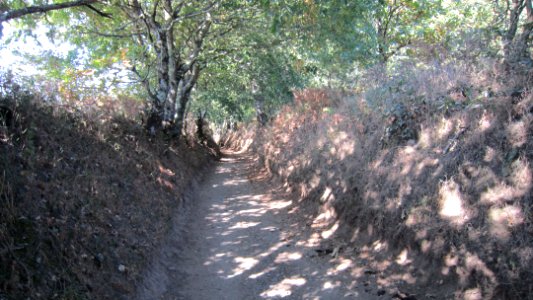 Chemin de Compostelle