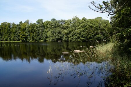 Nature water bank photo