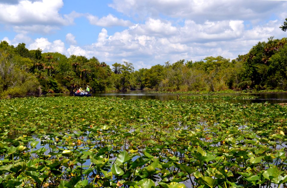 20150617-FS-Ocala-SB-005