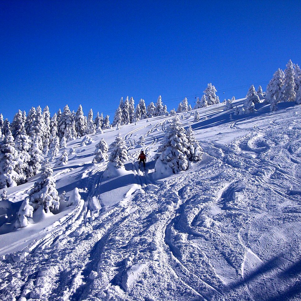 Uludağ / Snow photo