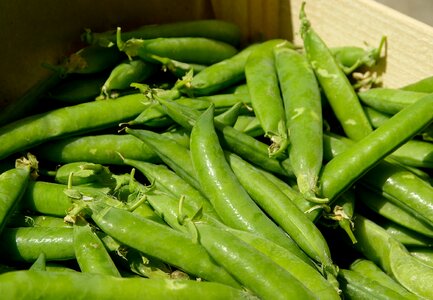 Peas vitamins market