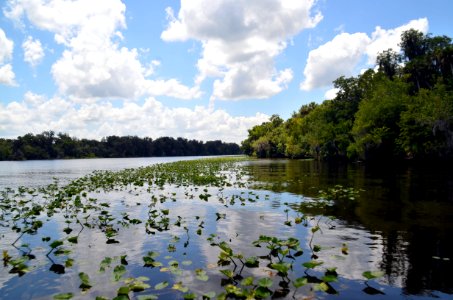 St. John's River