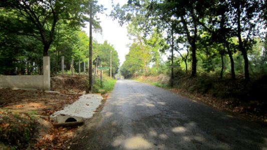 chemi de compostelle