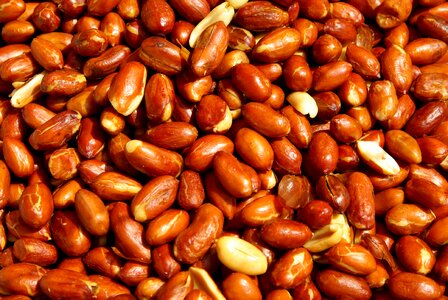 Peanuts dried fruit Free photos