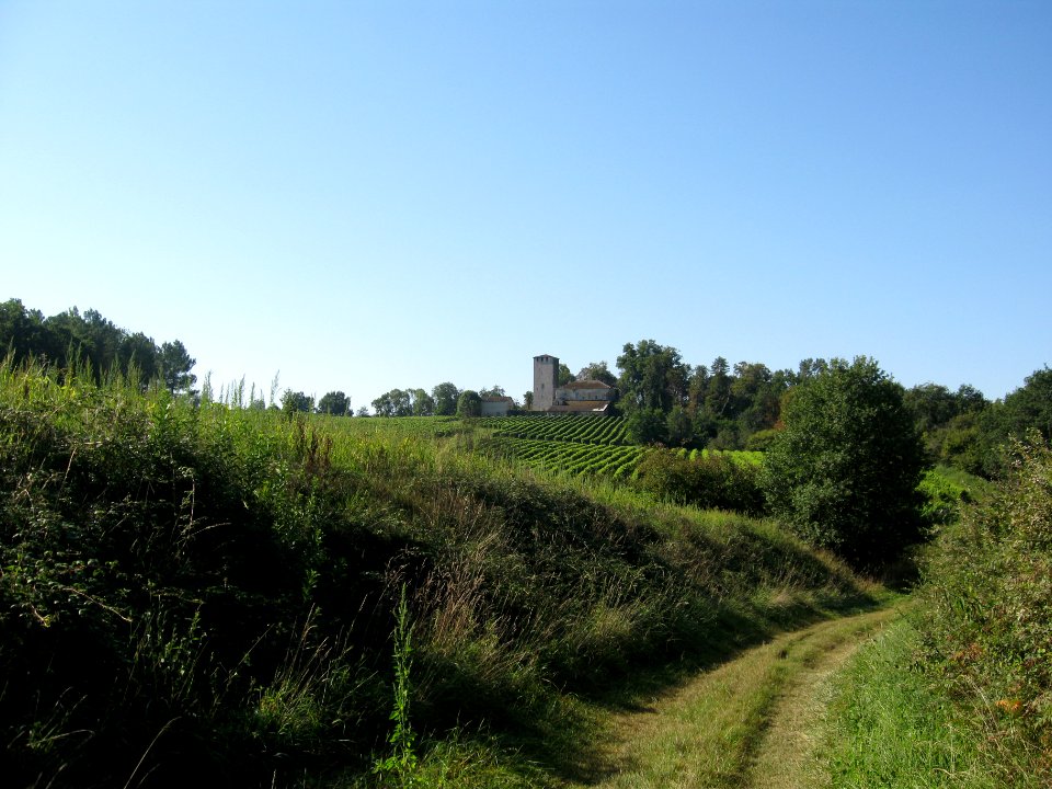 Chemin de compostelle