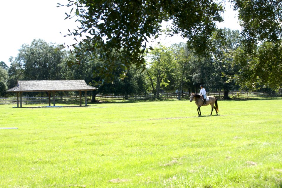 20201014 equestrain center 2