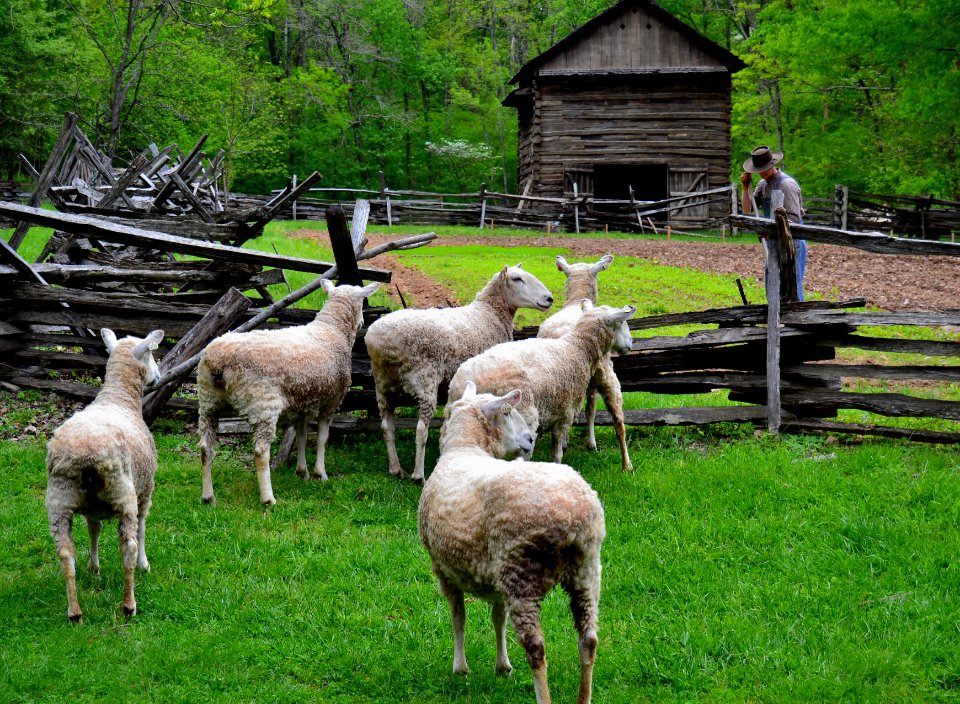 20150411-FS-LandBetweenTheLakes-SB-001
