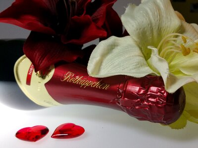 Romance flowers valentine's day