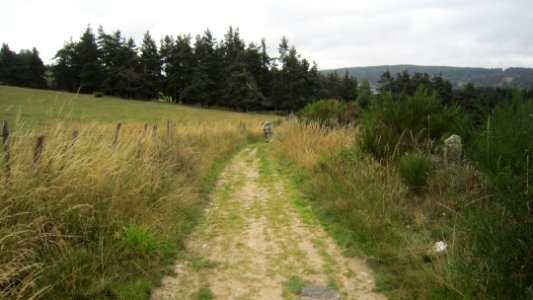 Chemin de compostelle
