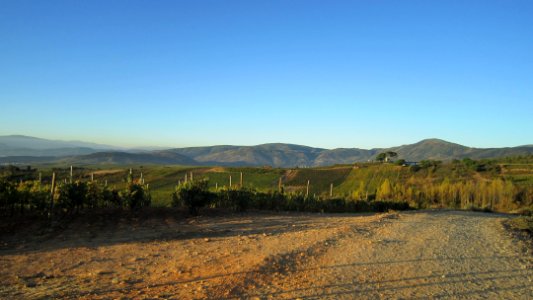 Chemin de compostelle
