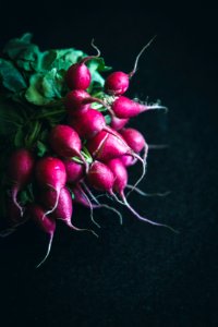 fresh bio garden radish