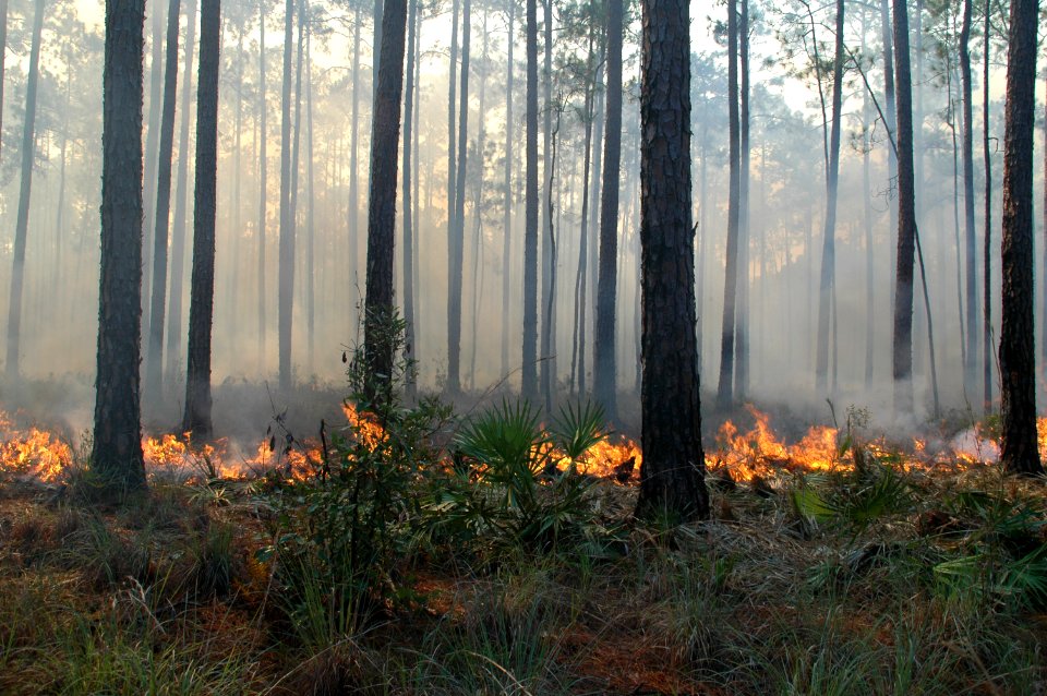 20111106-FS-Osceola-SB-006