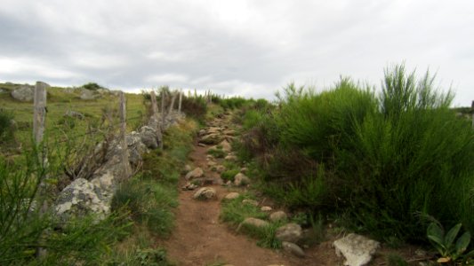 Chemin de compostelle