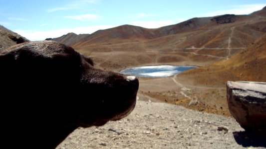 Amigo Ego, Volcan Xiantecatl,Tenango del Valle, Estado de Mexico