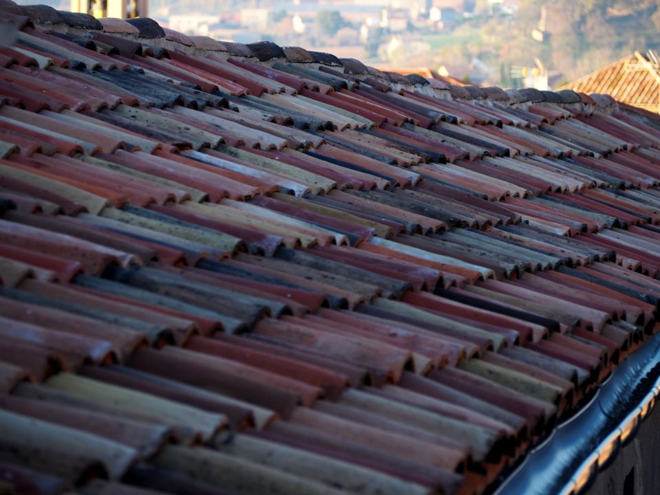 The roof