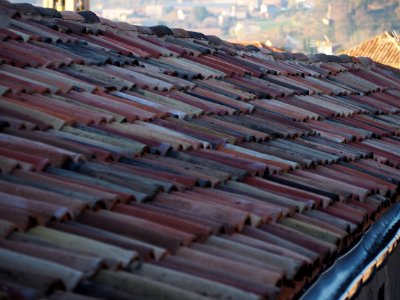 The roof