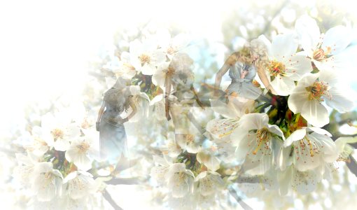 background, wallpaper, hintergrundbild (free)