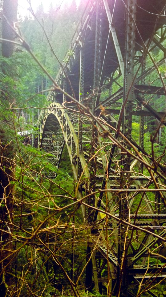The Fairfax Bridge from the side