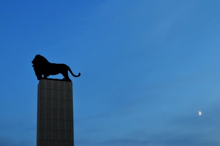 Unconscious Silhouettes, Bratislava, Slovakia
