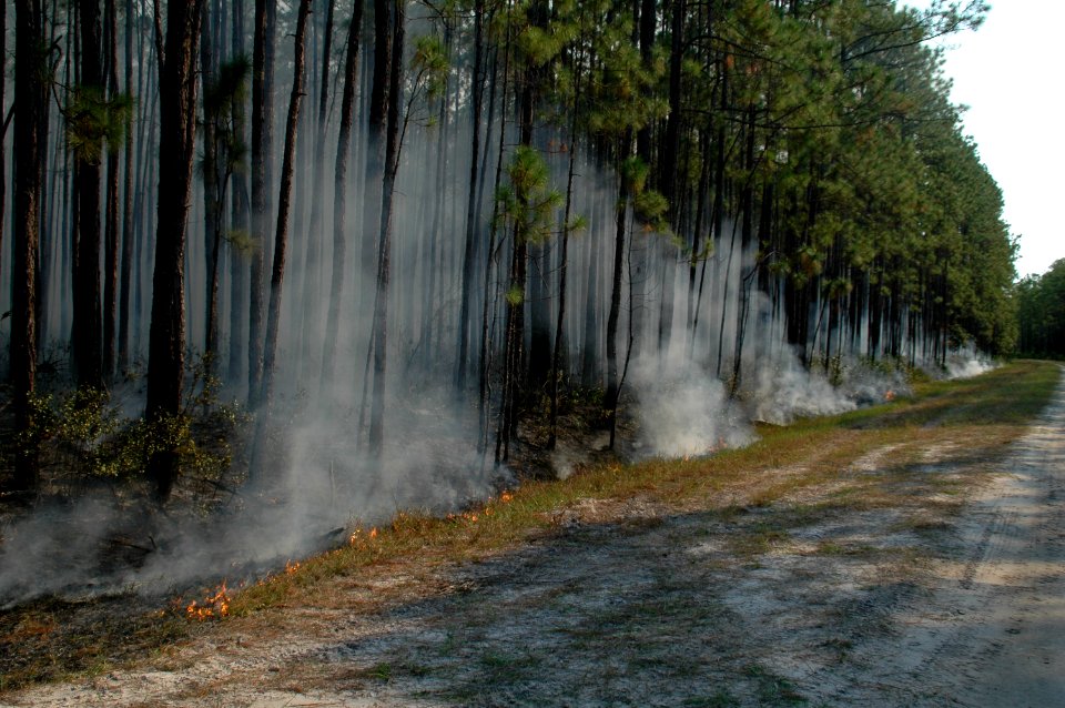 20111106-FS-Osceola-SB-037