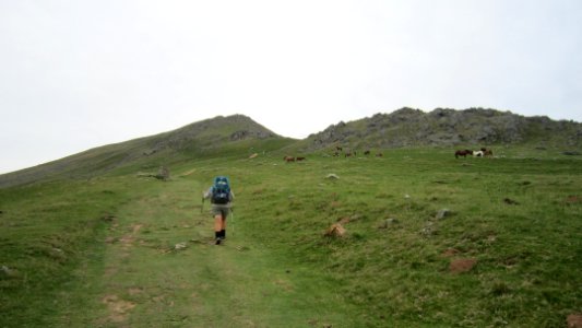 Chemin de compostelle