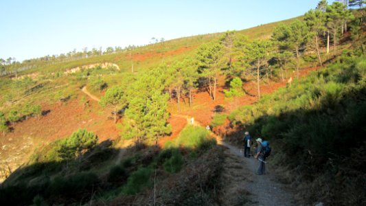 Chemin de compostelle
