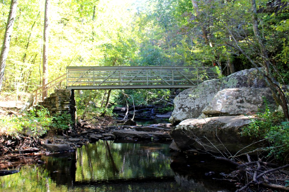 Petit jean
