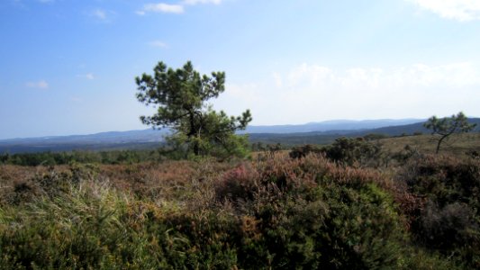 Chemin de compostelle