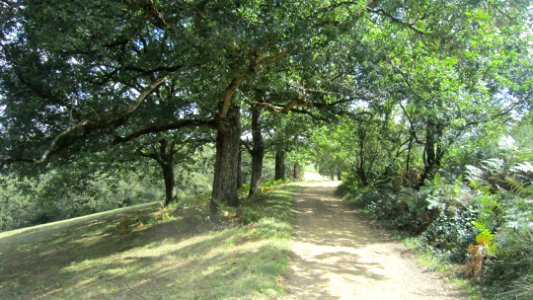 Chemin de compostelle