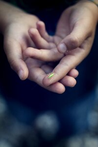 Insect animal child